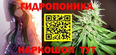 шишки Малгобек
